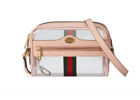 gucci transparent bag